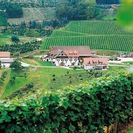 Weingut Alfred Huber Apartman Durbach Kültér fotó