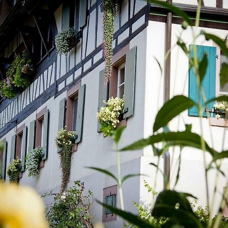Weingut Alfred Huber Apartman Durbach Kültér fotó