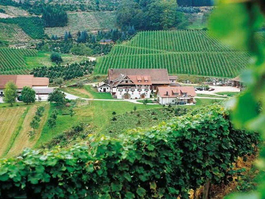 Weingut Alfred Huber Apartman Durbach Kültér fotó