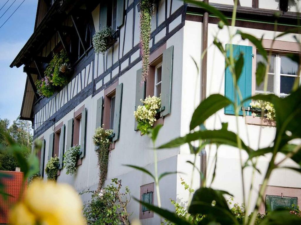 Weingut Alfred Huber Apartman Durbach Kültér fotó