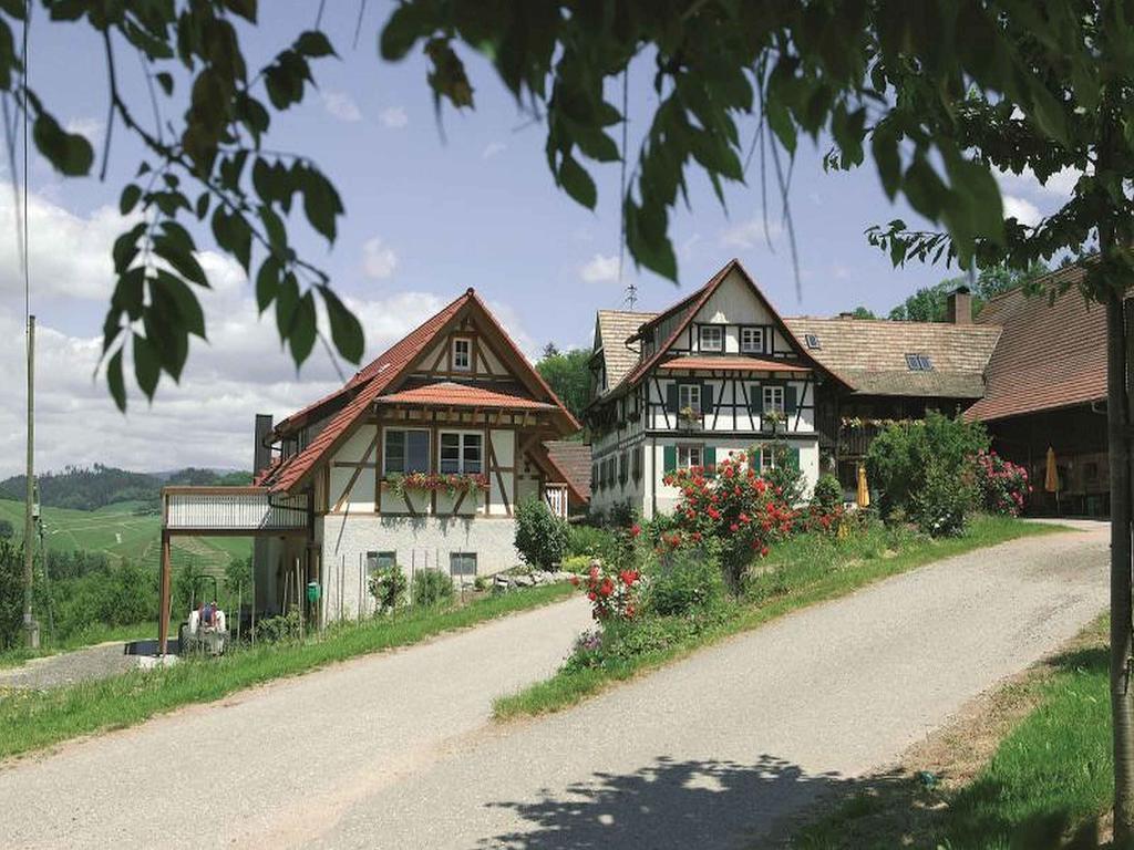 Weingut Alfred Huber Apartman Durbach Kültér fotó