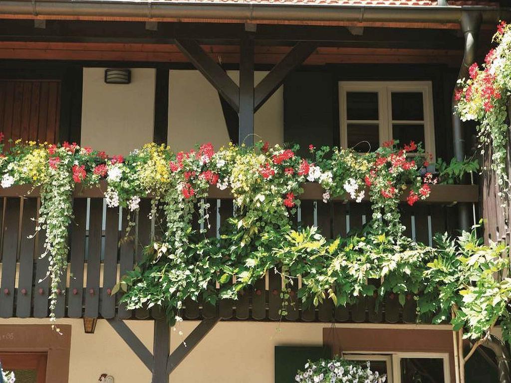 Weingut Alfred Huber Apartman Durbach Kültér fotó