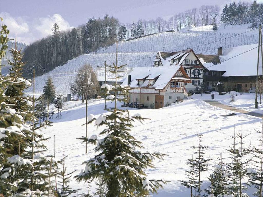 Weingut Alfred Huber Apartman Durbach Kültér fotó